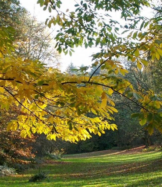 ARBORETUM TERVUREN