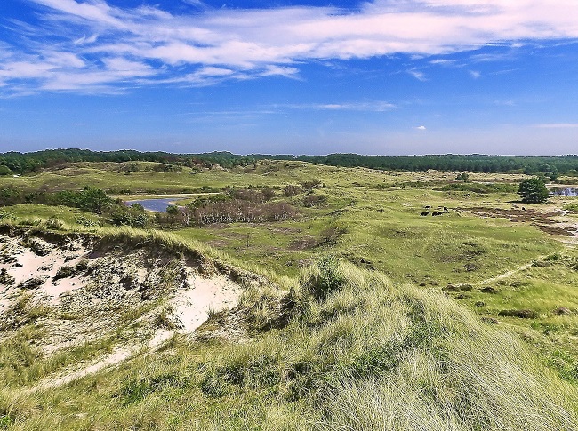 Zomerse fietstocht