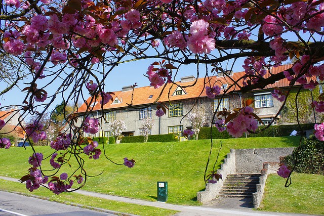 PROMENADE A WATERMAEL-BOITSFORT